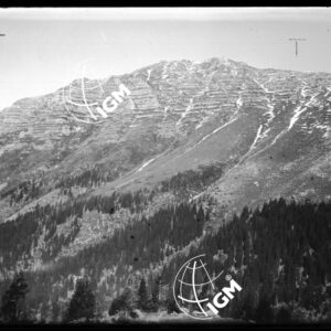 Veduta dell'Altipiano del Montasio - LN00001730