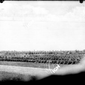 Veduta panoramica dall'Osservatorio di scoperta vampe D1 - LN00002166
