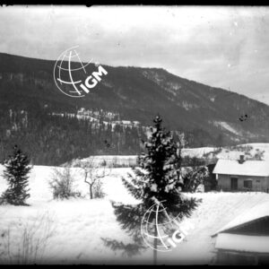 La Valle del Gailitz. - LN00002293