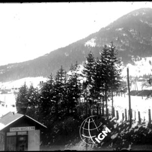 La Valle del Gailitz. - LN00002295