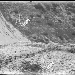 Zona dei Sogli Bianchi e dell'altipiano di Folgaria - LN00002510