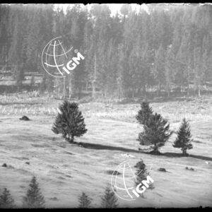 Rilievo Telefotografico dei trinceramenti di Campo Basson - LN00002544