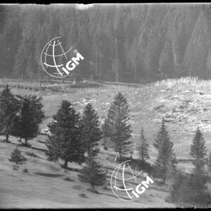 Rilievo Telefotografico dei trinceramenti di Campo Basson - LN00002545
