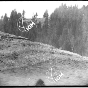 Rilievo Telefotografico dei trinceramenti di Campo Basson - LN00002548