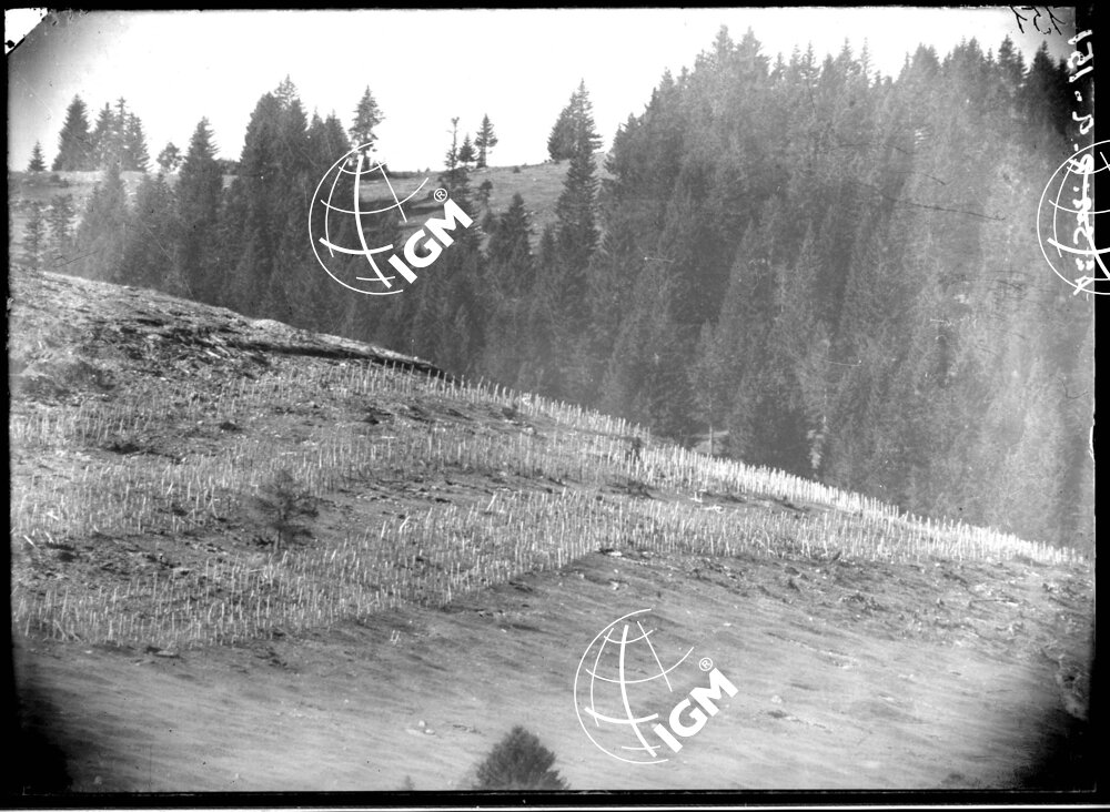 Rilievo Telefotografico dei trinceramenti di Campo Basson - LN00002548