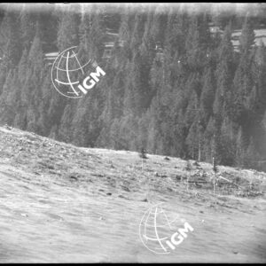 Rilievo Telefotografico dei trinceramenti di Campo Basson - LN00002549