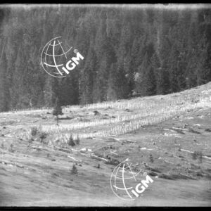 Rilievo Telefotografico dei trinceramenti di Campo Basson - LN00002550