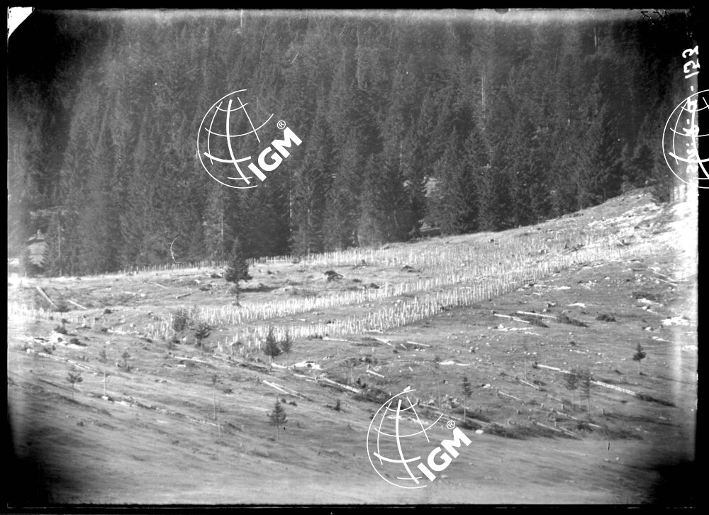 Rilievo Telefotografico dei trinceramenti di Campo Basson - LN00002550