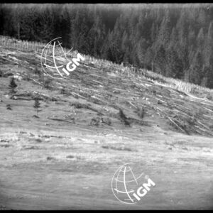 Rilievo Telefotografico dei trinceramenti di Campo Basson - LN00002552