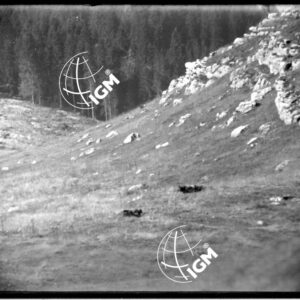 Rilievo Telefotografico dei trinceramenti di Campo Basson - LN00002555