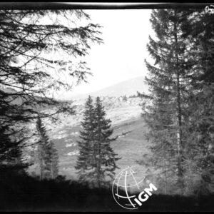 Rilievo Telefotografico del Forte Busa di Verle - PE00000166