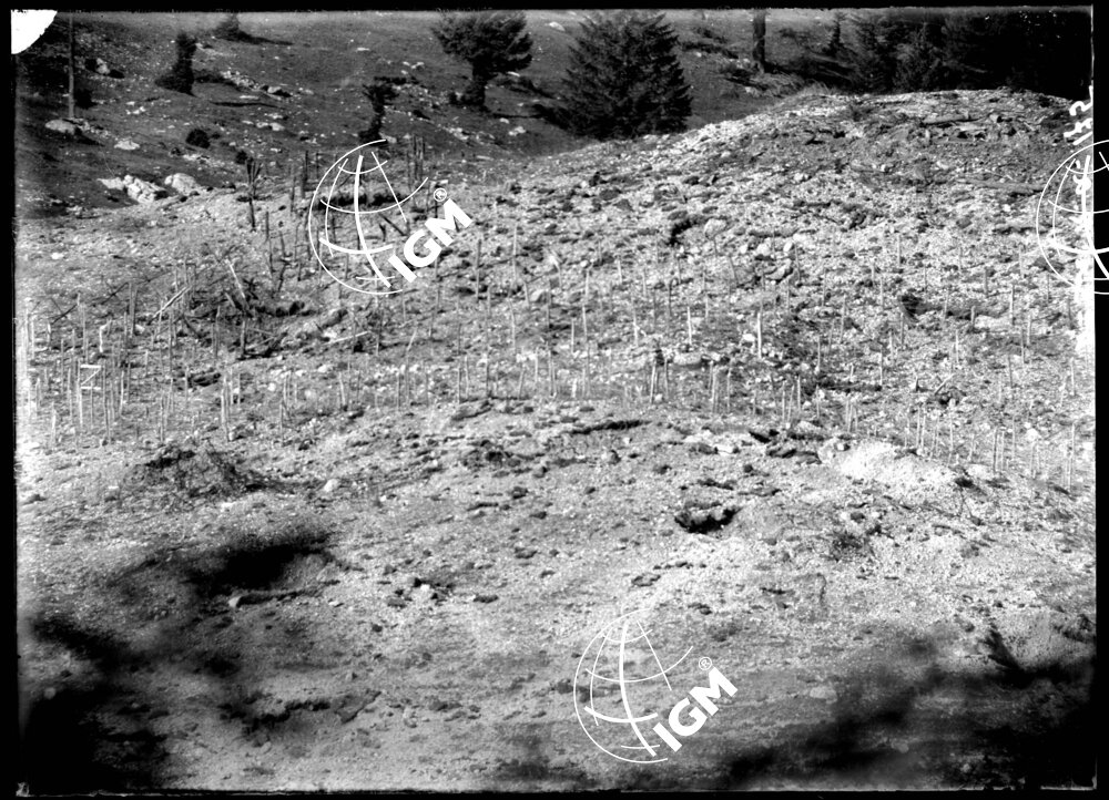 Rilievo Telefotografico del Forte Busa di Verle - LN00002568