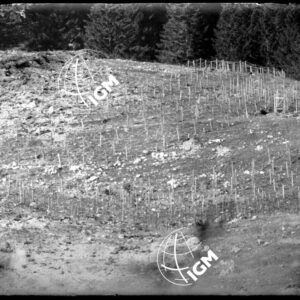 Rilievo Telefotografico del Forte Busa di Verle - LN00002569