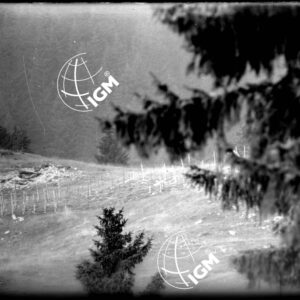 Rilievo Telefotografico del Forte Busa di Verle - LN00002572
