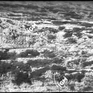 Telefotografia della Zona M.te Ortigara - q. 2101 - Passo dell'Agnello - LN00002578