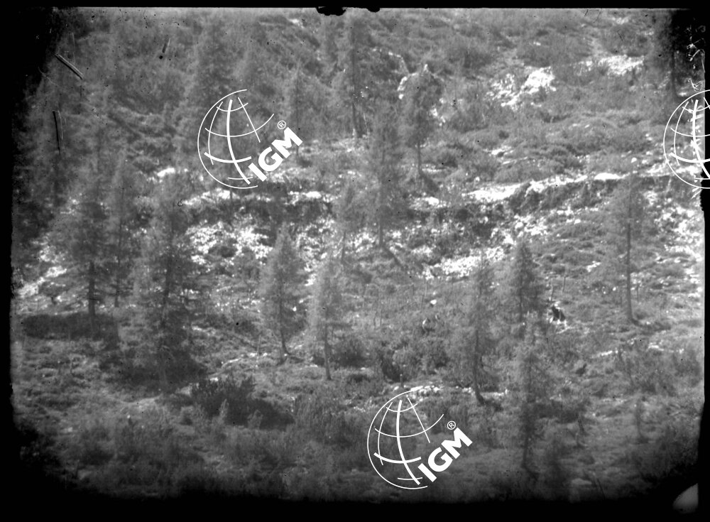 Telefotografia da M.te Palo - LN00002605