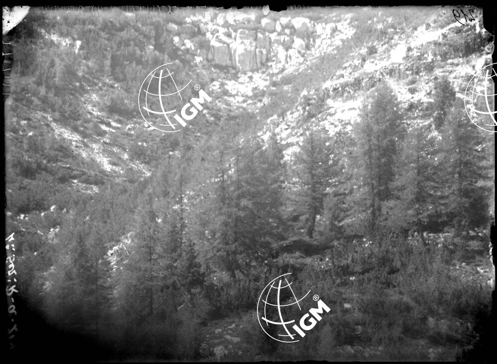 Telefotografia da M.te Palo - LN00002612