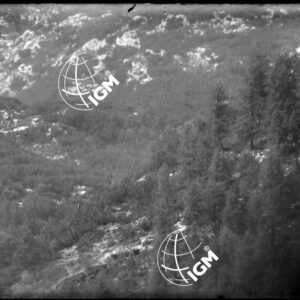 Telefotografia da M.te Palo - LN00002614