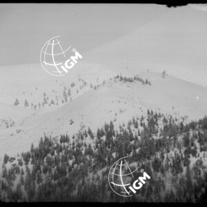Dettagli - LN00002620