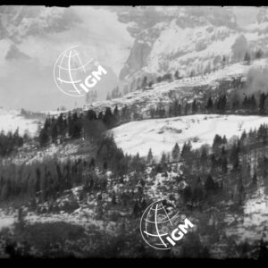 Dettagli - LN00002629
