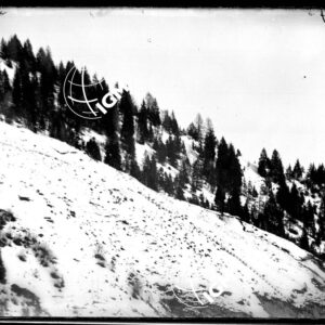 Telefotografie della Zona Dosso dei Morti - Dosso Brull - del Forte Por - dei rafforzamenti sopra il F.te Por - LN00002782