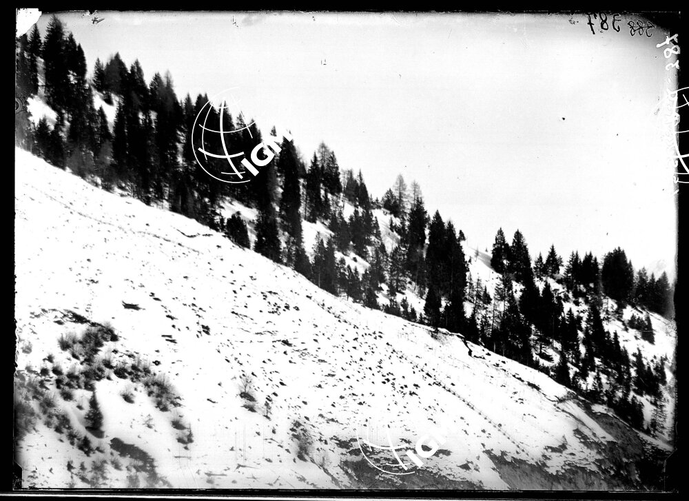 Telefotografie della Zona Dosso dei Morti - Dosso Brull - del Forte Por - dei rafforzamenti sopra il F.te Por - LN00002782