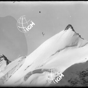 Serie Stelvio - LN00002937