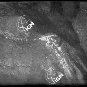 Telefotografie da Q. 1100 - LN00003077