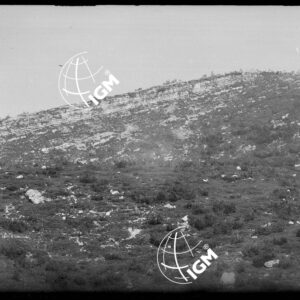 Serie Gruppo Col Santo Pasubio - LN00003288