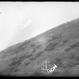 Serie Gruppo Col Santo Pasubio - LN00003316