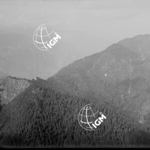 Assieme e particolari dello sbarramento difensivo Austriaco della sinista della Val Giudicaria - LN00003524