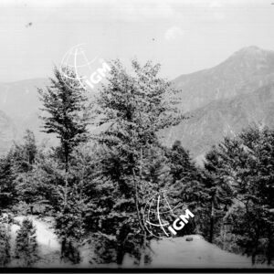 Da Valle del Posina a Monte Majo - LN00003645