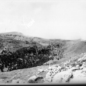 Da Col Santo a Monte Coston - LN00003650