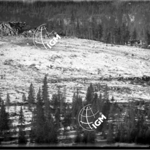 Rilievo Telefotografico della zona F. Campo di Luserna - Malga Milegrobe di Sopra - LN00003699