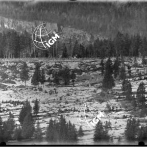 Rilievo Telefotografico della zona F. Campo di Luserna - Malga Milegrobe di Sopra - LN00003701