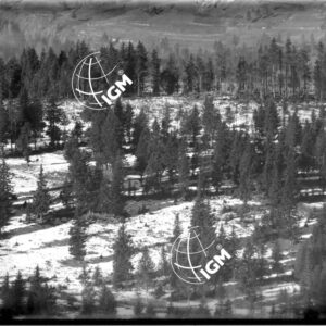Rilievo Telefotografico della zona F. Campo di Luserna - Malga Milegrobe di Sopra - LN00003702