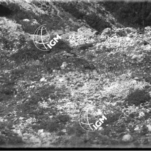 Telefotografia del Passo dell'Agnello - LN00003742