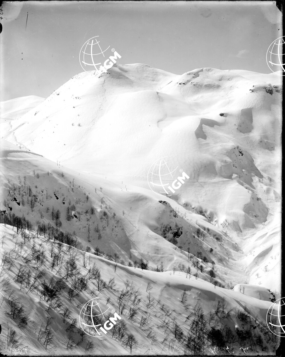 Gruppo Col Santo - LN00003876