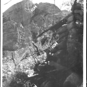 Serie Gruppo Col Santo - Pasubio - LN00004269