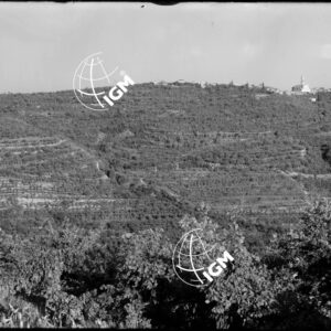 Forte San Briccio - LN00004332