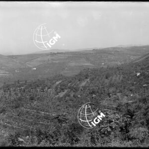 Forte San Briccio - LN00004339