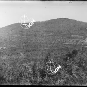 Forte San Briccio - LN00004340