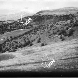 Serie Val Lagarina N. 33 - LN00004368