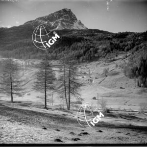 Colle di Beschen - LN00004393