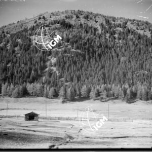 Colle di Beschen - LN00004394