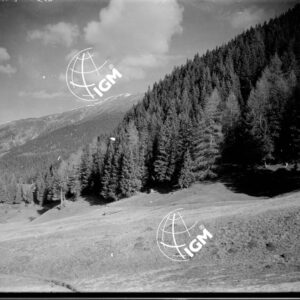 Colle di Beschen - LN00004396