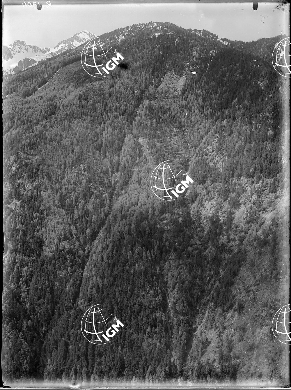 Da Cima del Bersaglio a Tribulamu - LN00004550
