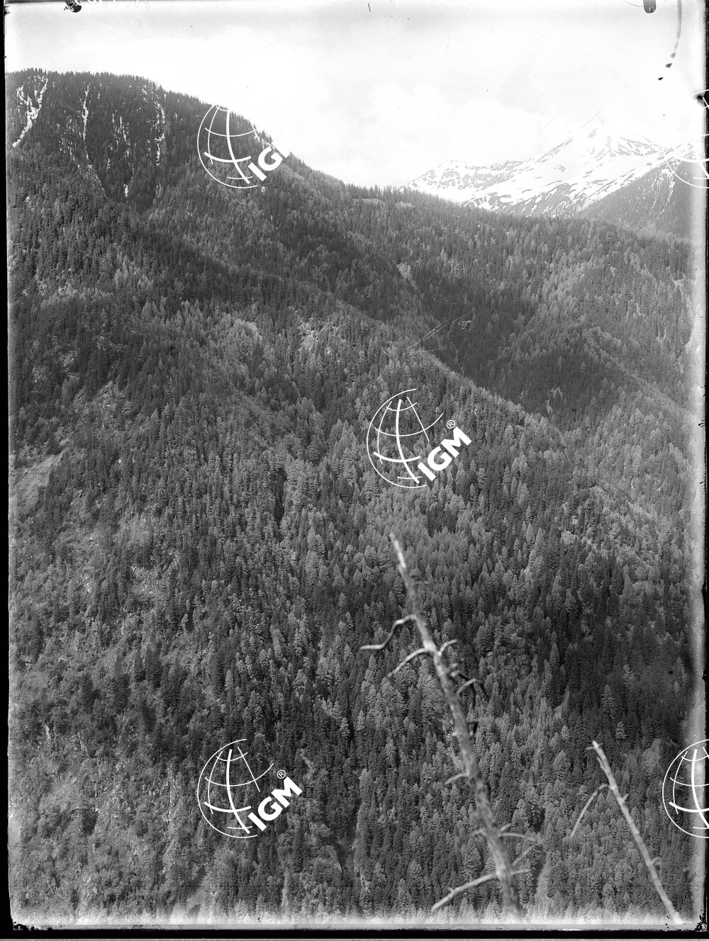 Da Cima del Bersaglio a Tribulamu - LN00004551
