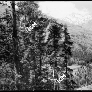 La Valle Isargo (a sud di Colle Isargo) - LN00004559