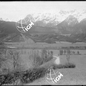 Senza Titolo - LN00004753